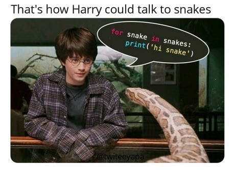 Harry Potter. for snake in snakes: print('hi snake')
